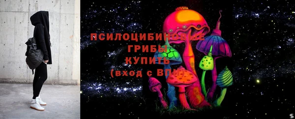 спиды Вяземский